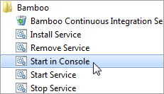 Start Bamboo Server From Console